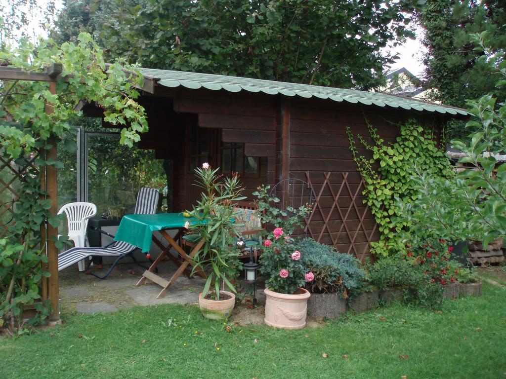 Ferienwohnung Anna Scheid Kelberg Extérieur photo